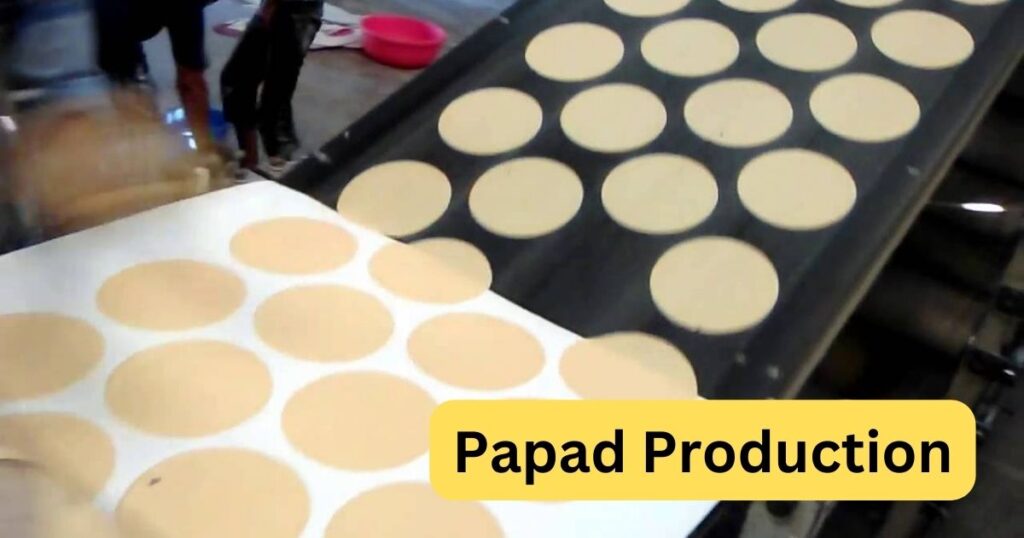 Papad Production Small Business Ideas
