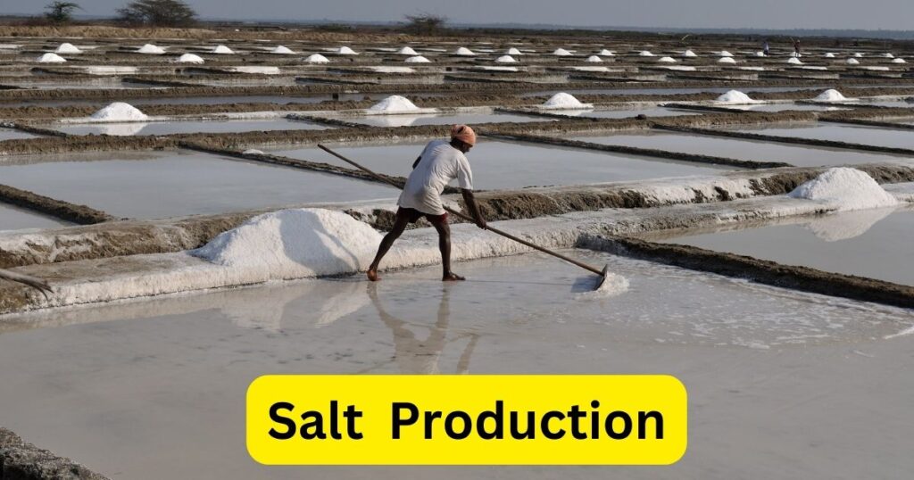 Salt Production Small Business Ideas